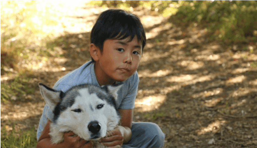 Husky Camp - Walsrode - regular 4