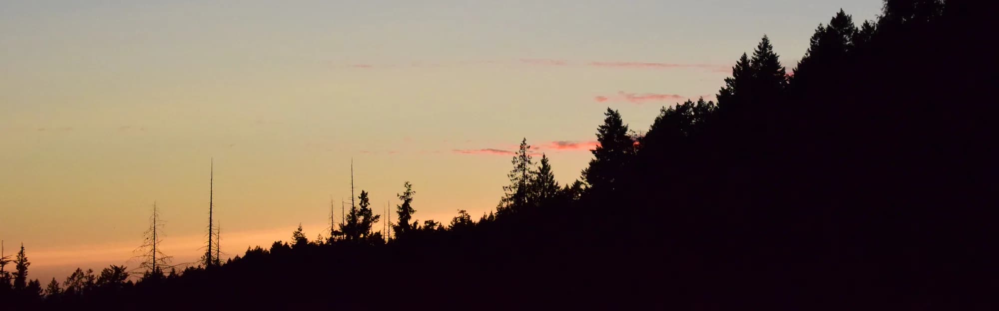 Yukon Explorer - Canada Evening - Activities - Evening 3