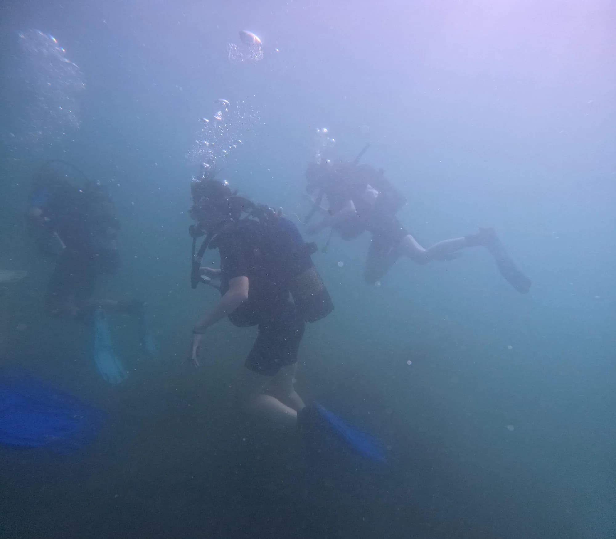 SCUBA diving & Sailing Camp - Barcelona Morning - Activities - Morning 1