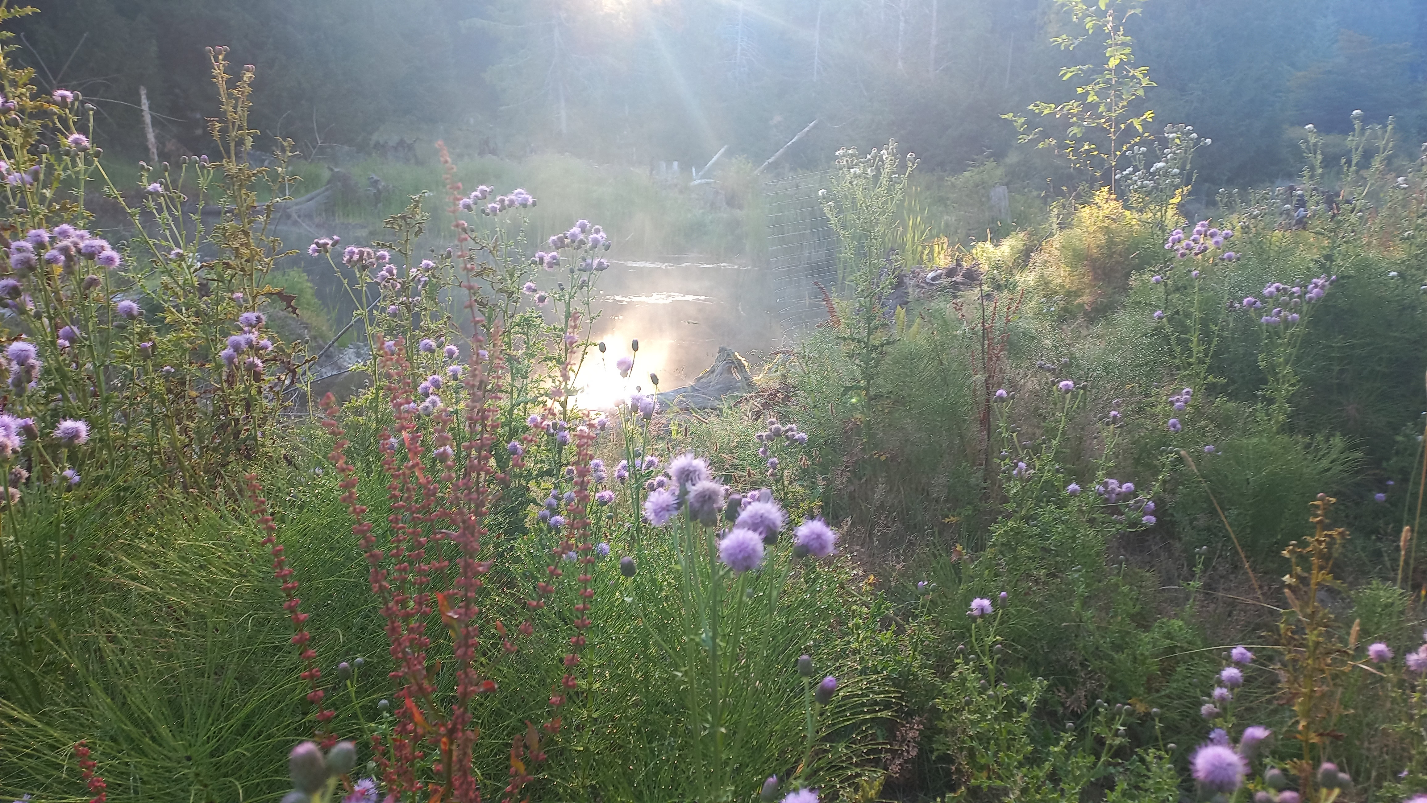 Yukon Explorer - Canada Morning - Activities - Morning 3